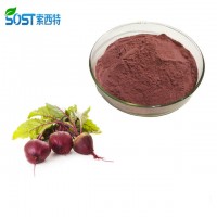 Natural Pigment Water Soluble Organic Red Beet Root Juice Powder