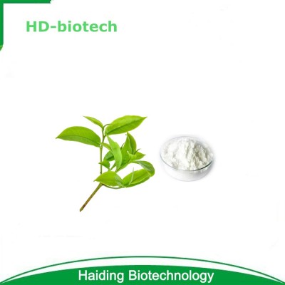 High quality of jasmine green tea flower extract(40% plyphenols)